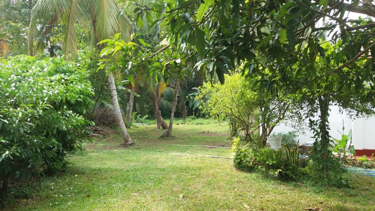 Glorious Villa Tangalle Buitenkant foto
